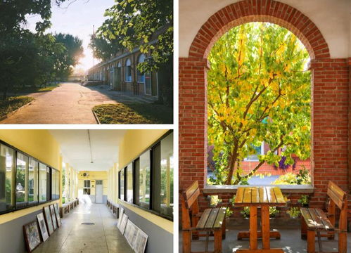 北京李靖画室2025届预报名正式启动 限招300人，百万助学金助力艺术梦想