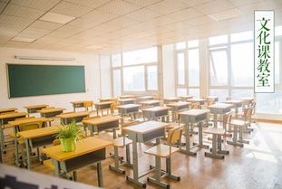 北京栾树画室集训班 追寻艺术梦想的启航地